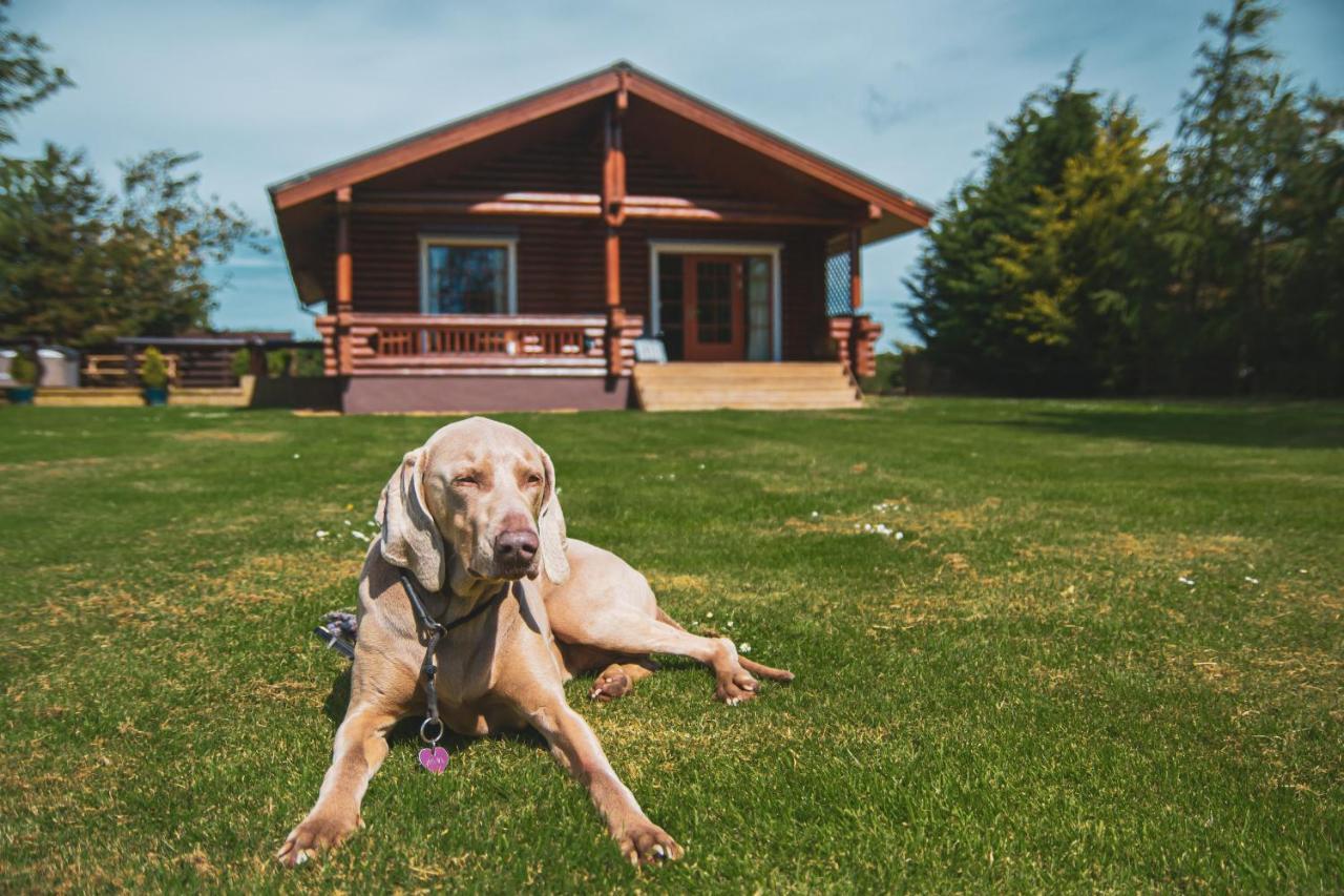 Tomatin - Luxury Two Bedroom Log Cabin With Hot Tub Berwick Upon Tweed Zewnętrze zdjęcie